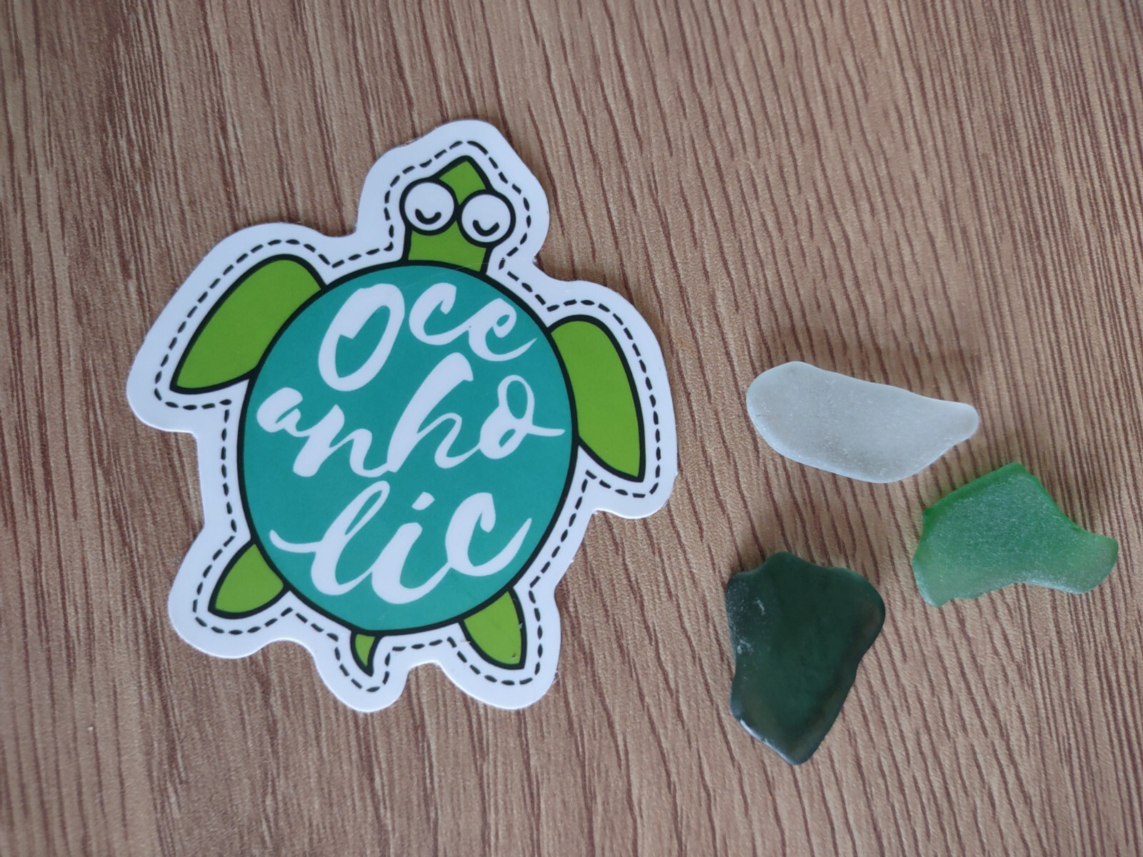 Super Cute & Funny Oceanholic Turtle StickerBrand New