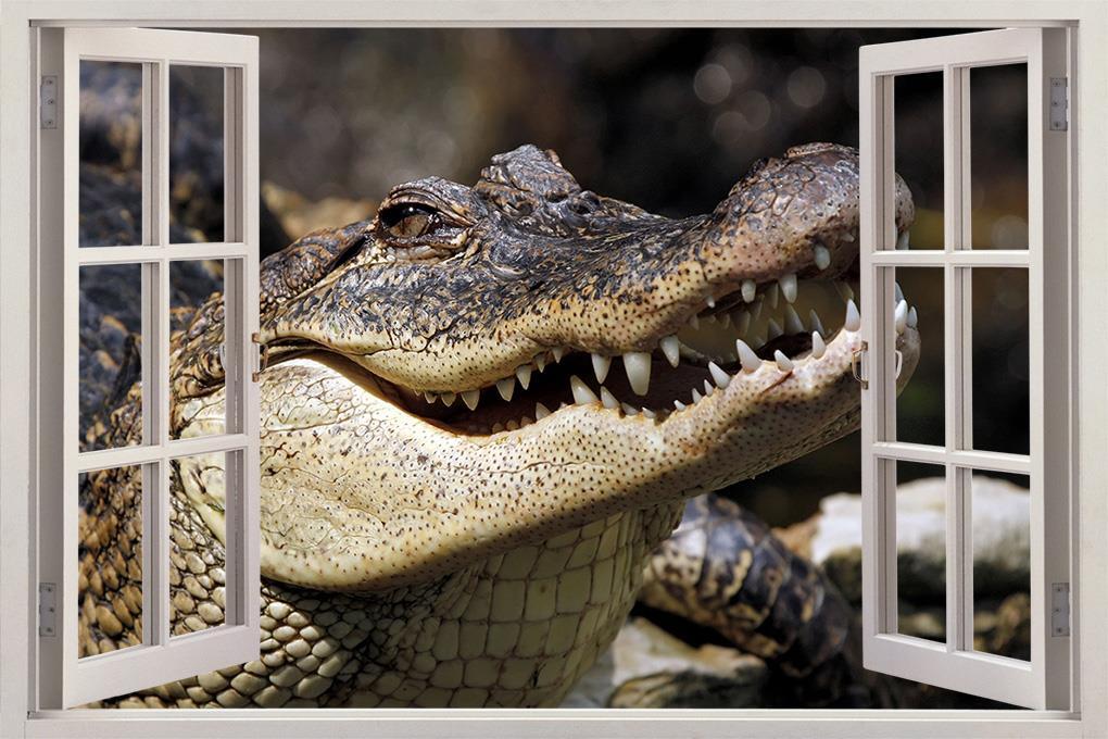 Crocodile Alligator 3D Window Decal Wall Sticker Art Mural Animals Reptiles J18
