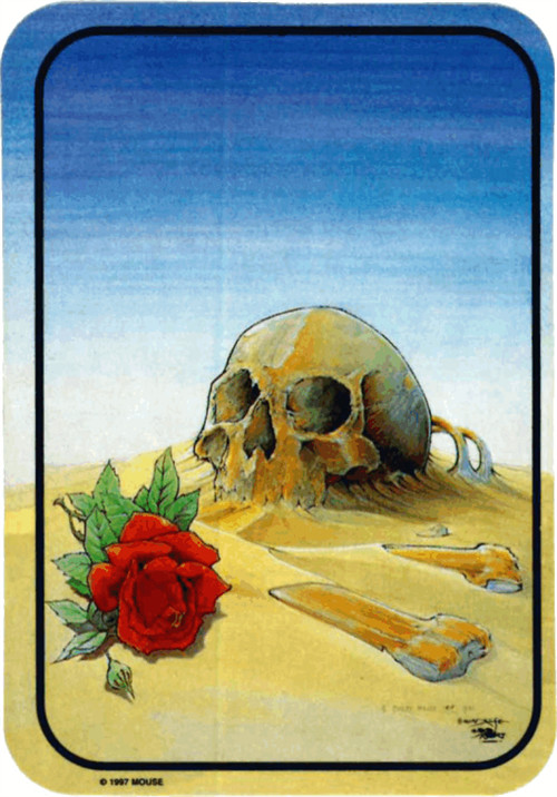 Skull In The Sand Sticker – 2 1/2″ X 3 3/4″