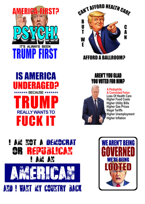 6pc Anti-Trump Die Cut Heavy Duty Vinyl Stickers, Waterproof, 2.0″W x 2.0″H