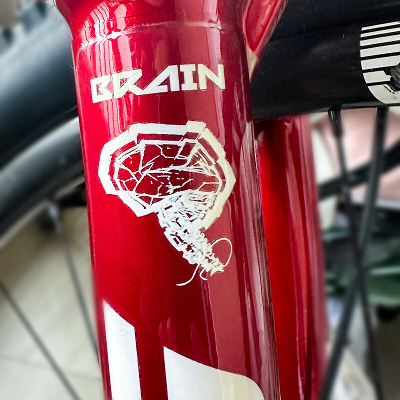 Fork Sticker for 2024 SID Brain MTB Mountain Bike Bicycle Cycling Decals