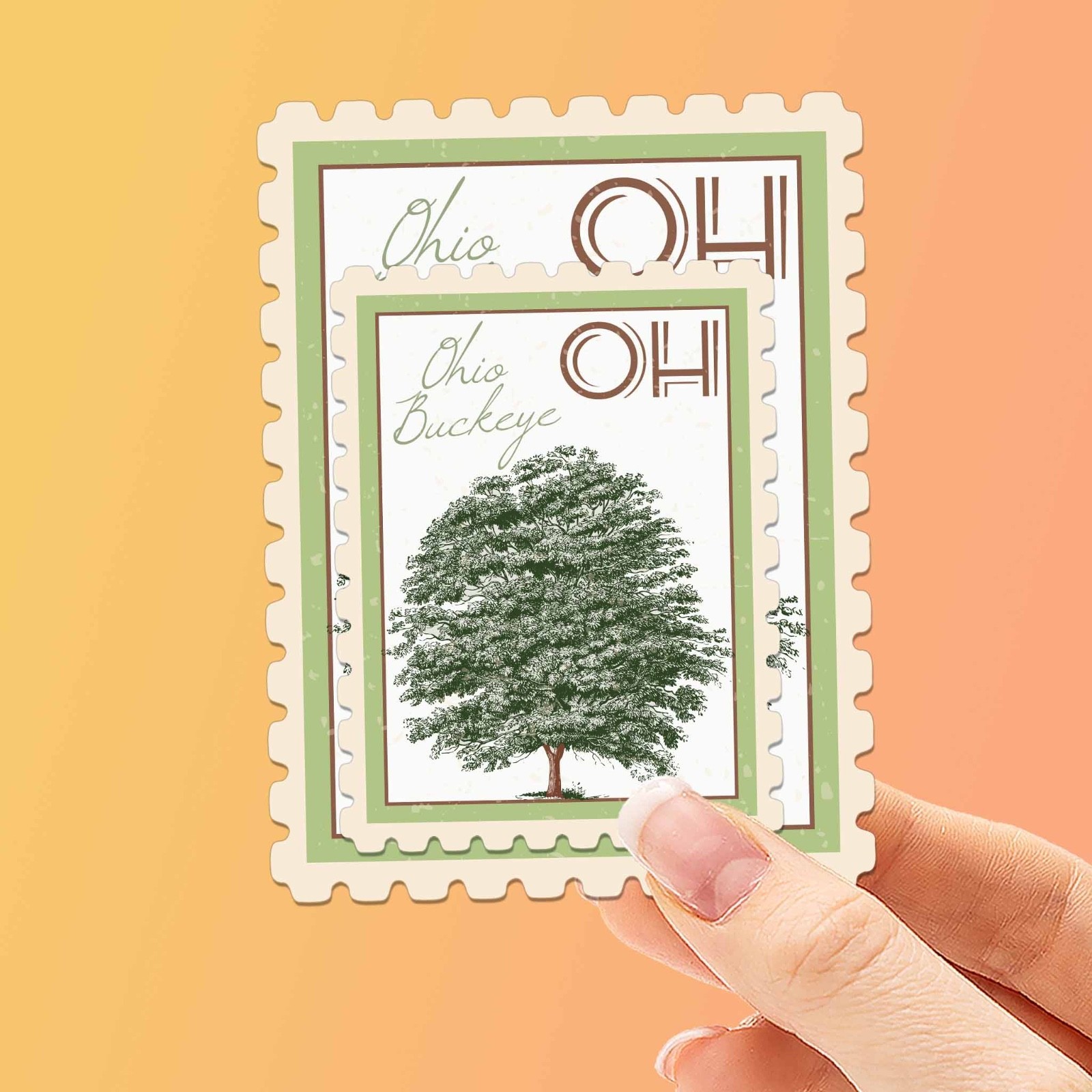 Ohio State Tree Buckeye Sticker – OH Vintage Stamp Decal