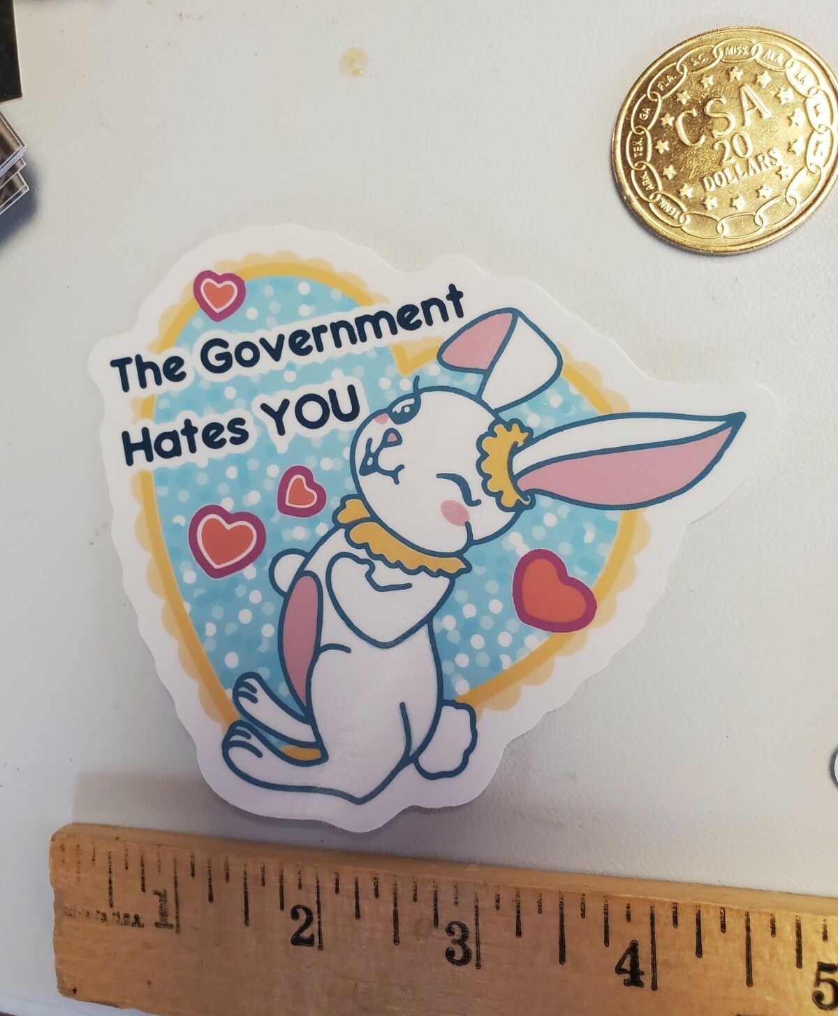 The Government Hates You Funny car bumper sticker **WORLDWIDE 🌐 SHIPPING**