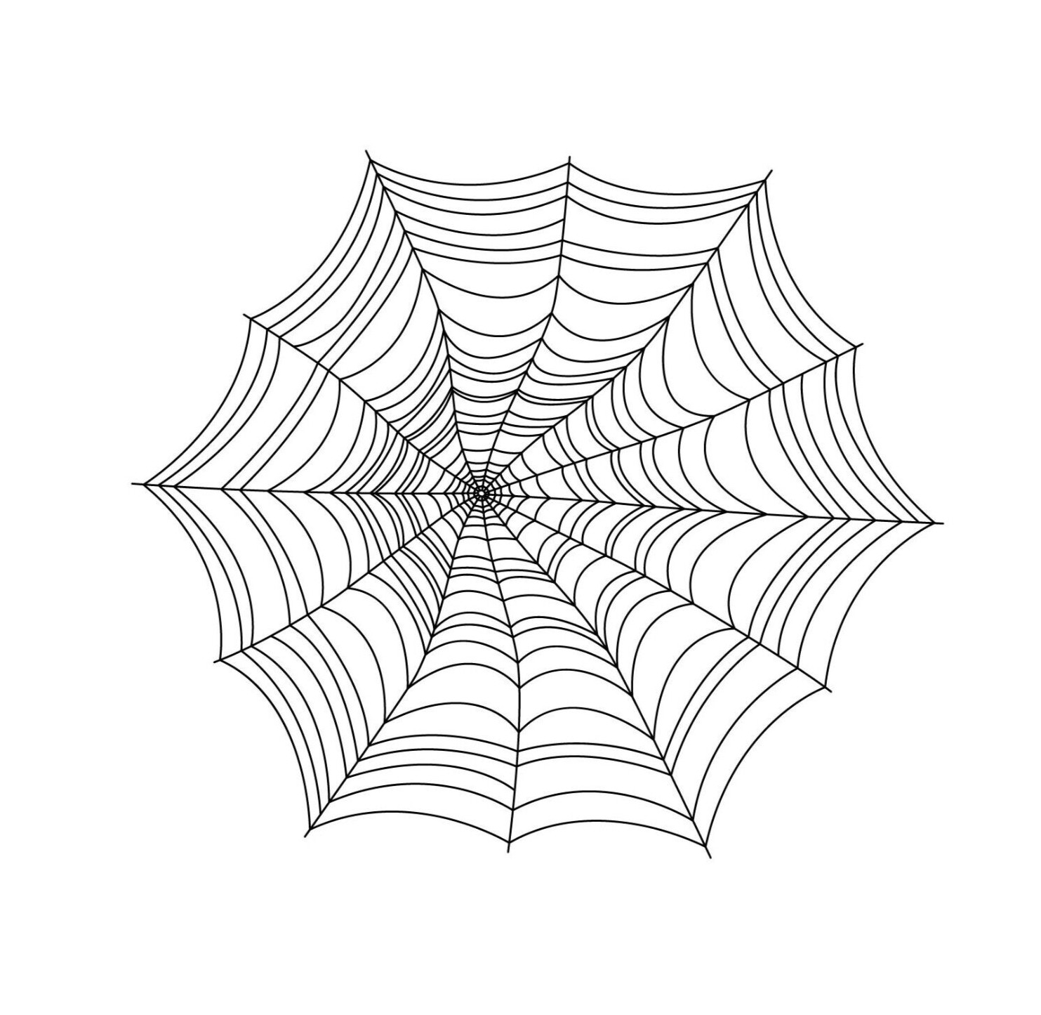 Vinyl Sticker Decal Spiderweb Large 22″ x 19″