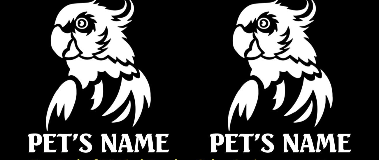 Parrot Bird with Custom Name 2 Pack of 5″ Vinyl Decals Window Tumbler Laptop