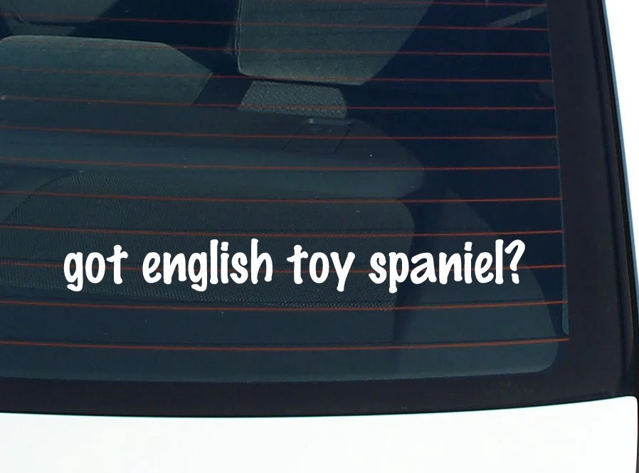 got english toy spaniel? CAR DECAL BUMPER STICKER VINYL FUNNY JOKE WINDOW