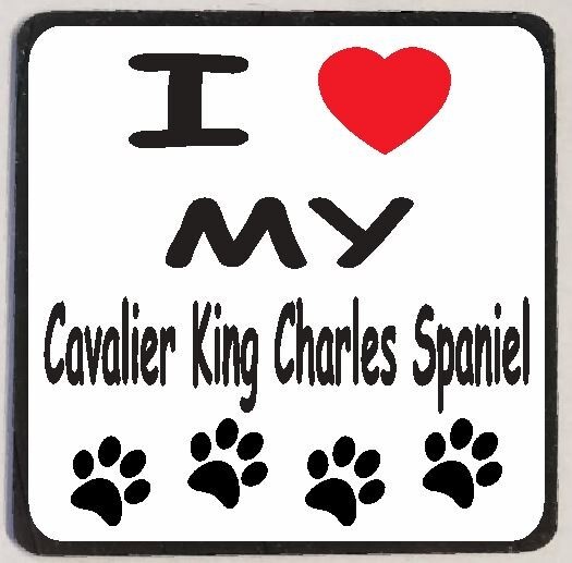 I Love My Cavalier King Charles Spaniel Refrigerator Magnet M147