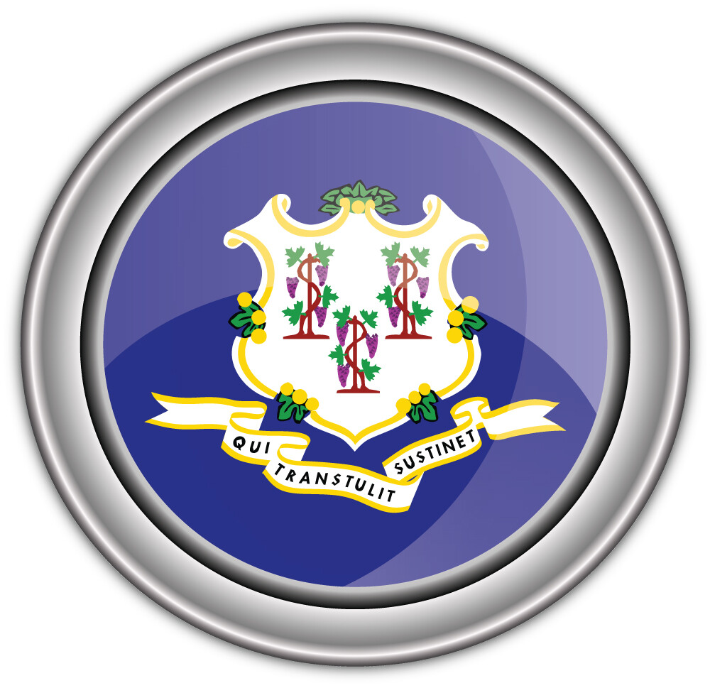 Connecticut USA State Flag Silver Badge Car Bumper Sticker Decal “SIZES”
