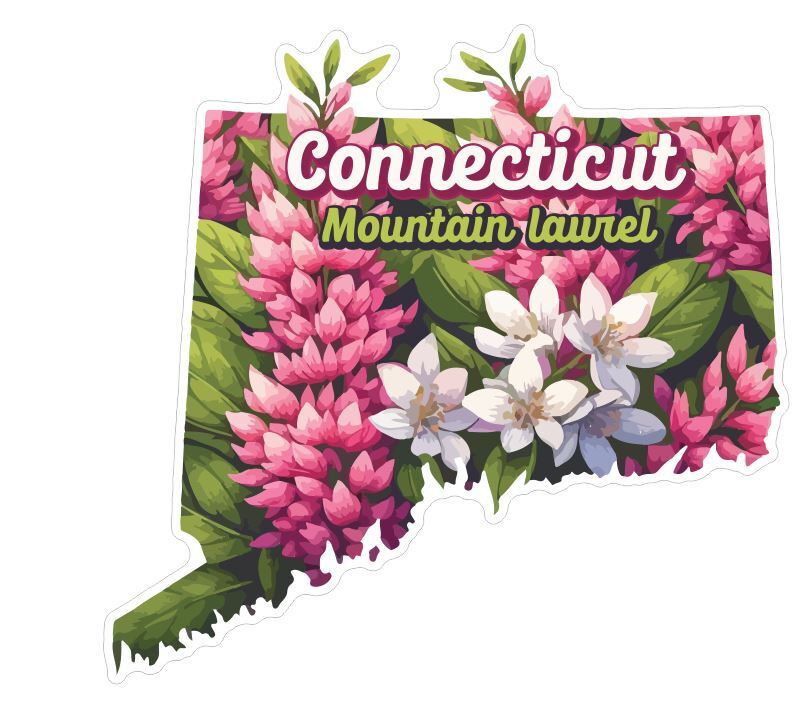 Connecticut Sticker Stickers A284