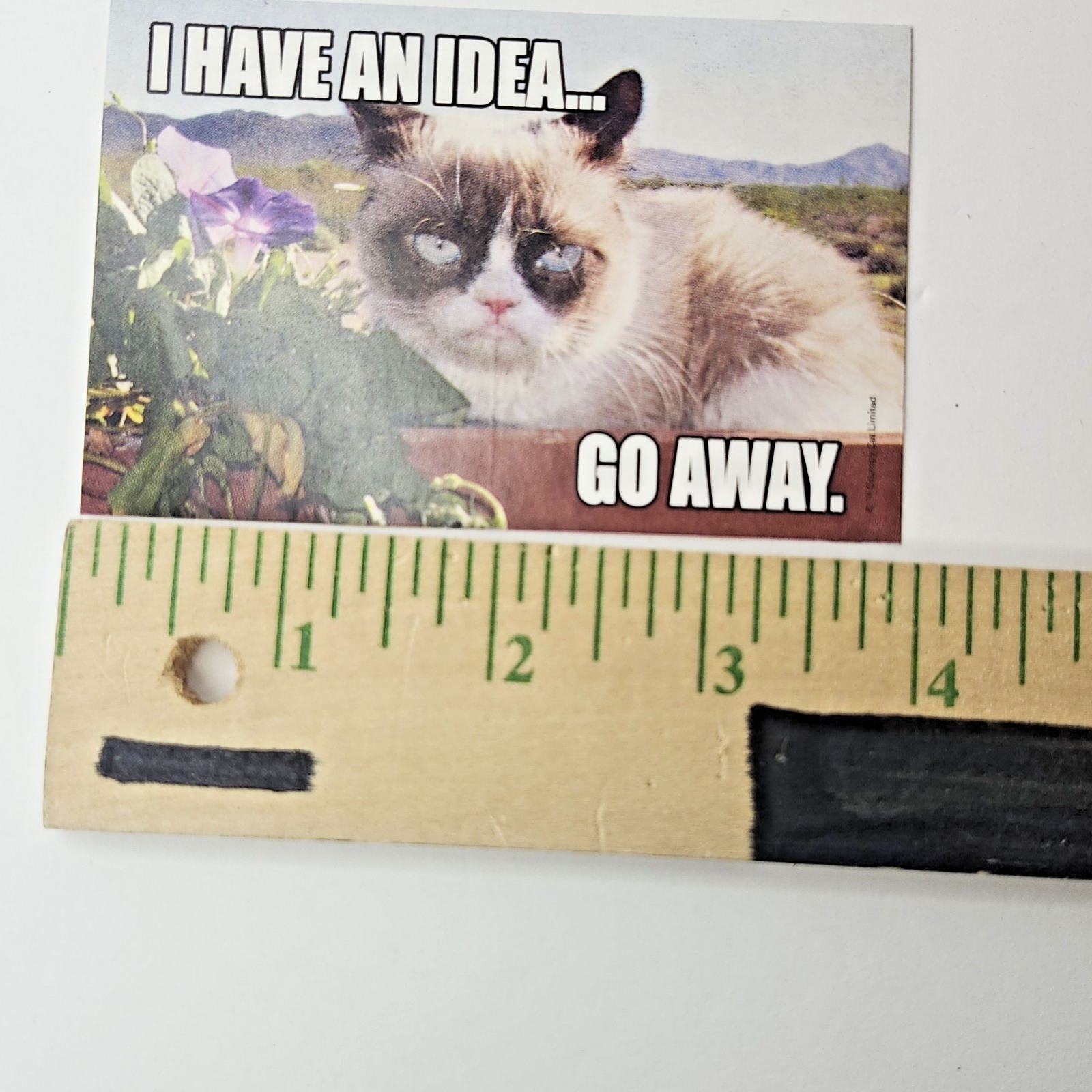 Grumpy Cat Sticker Collectible Sandy Lion GCS1 Series Vending Machine