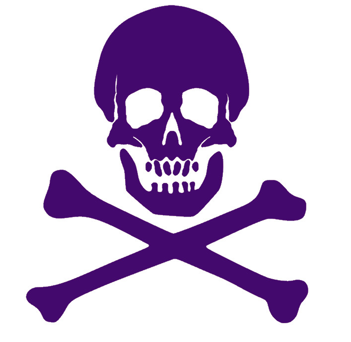 SKULL AND CROSSBONES, PIRATE Decal Stickers for Cars, Windows, Laptops, Tablets.