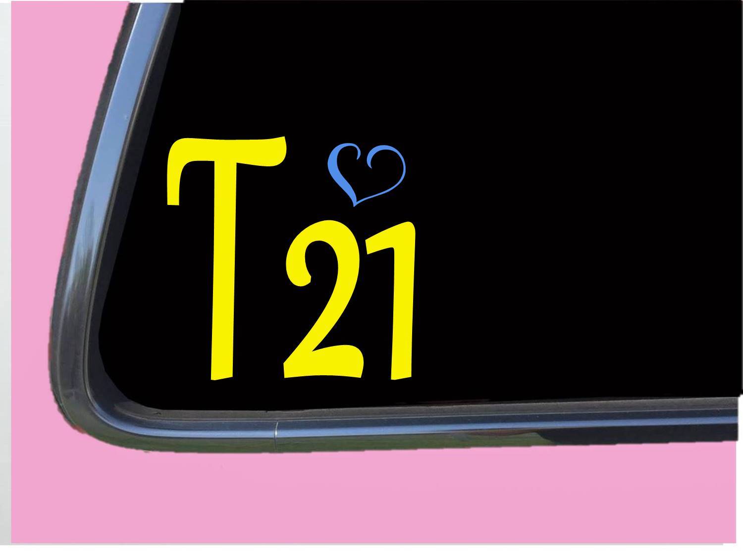 T21 Lil Heart Decal TP163 6″ tall Vinyl Down Syndrome Chromosome stickers