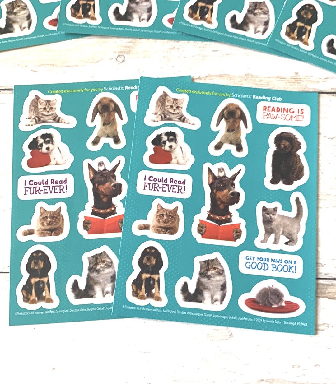 Animal Stickers Bundle 6 Sheets Kittens Cats Dogs Puppies Rabbit NEW Scholastic