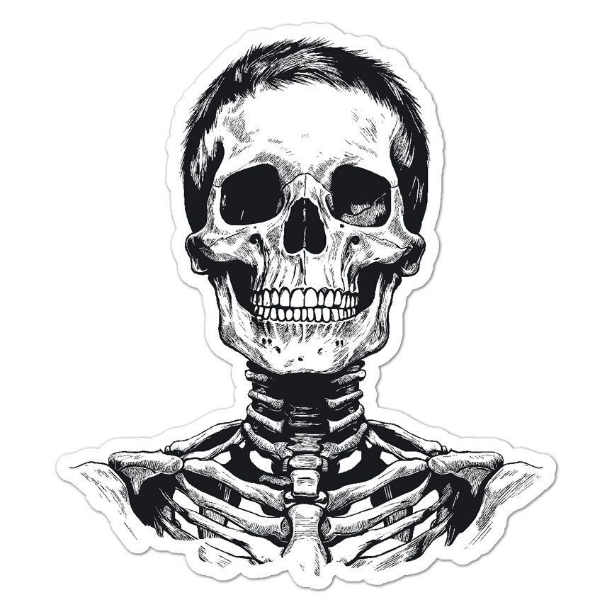 Skeleton Skull, Vinyl Decal Sticker, Indoor Outdoor, 3 Sizes, #9108