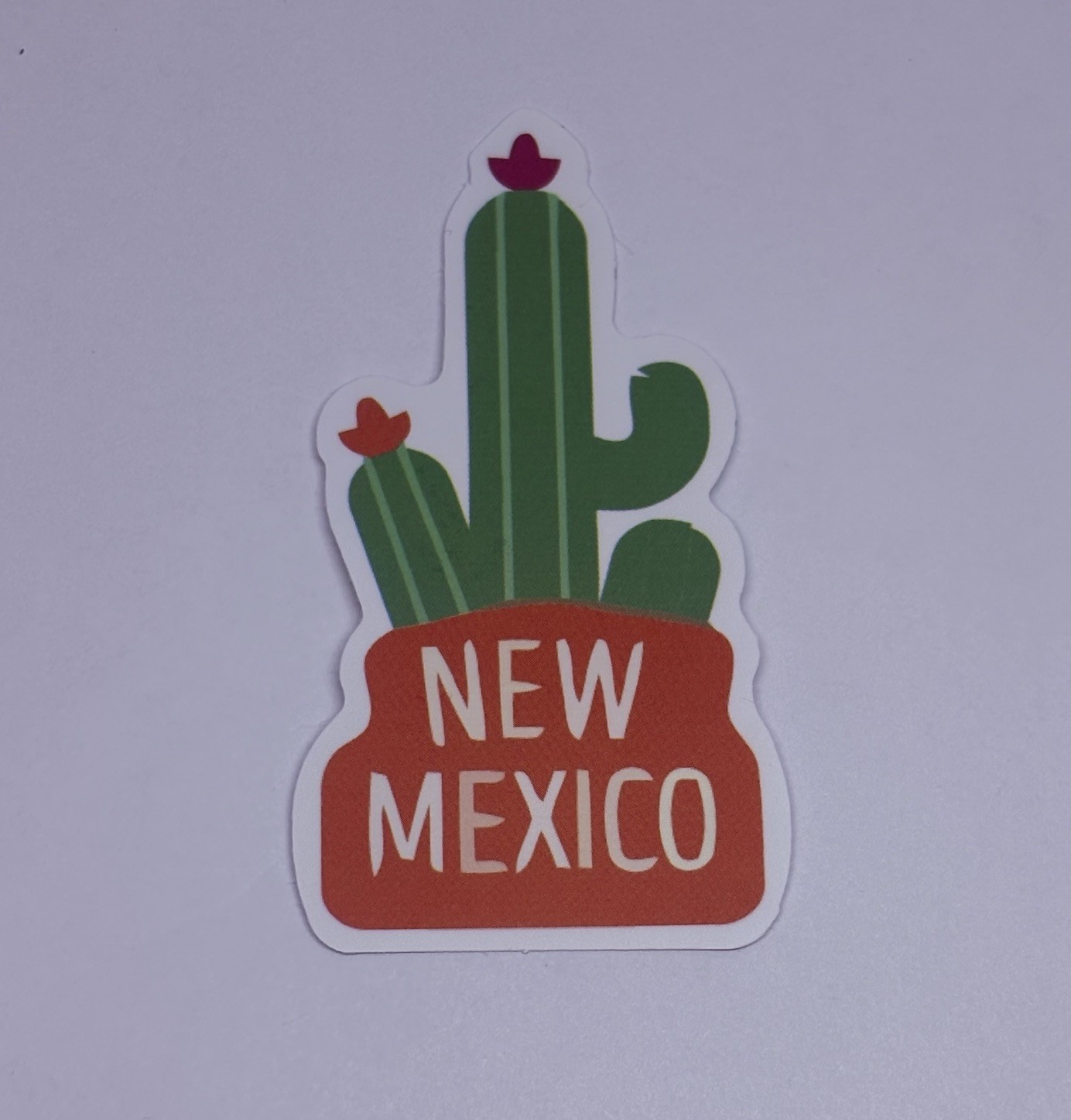 New Mexico Sticker Cactus Travel Art Decal Vinyl Country Souvenir Matte Tc6