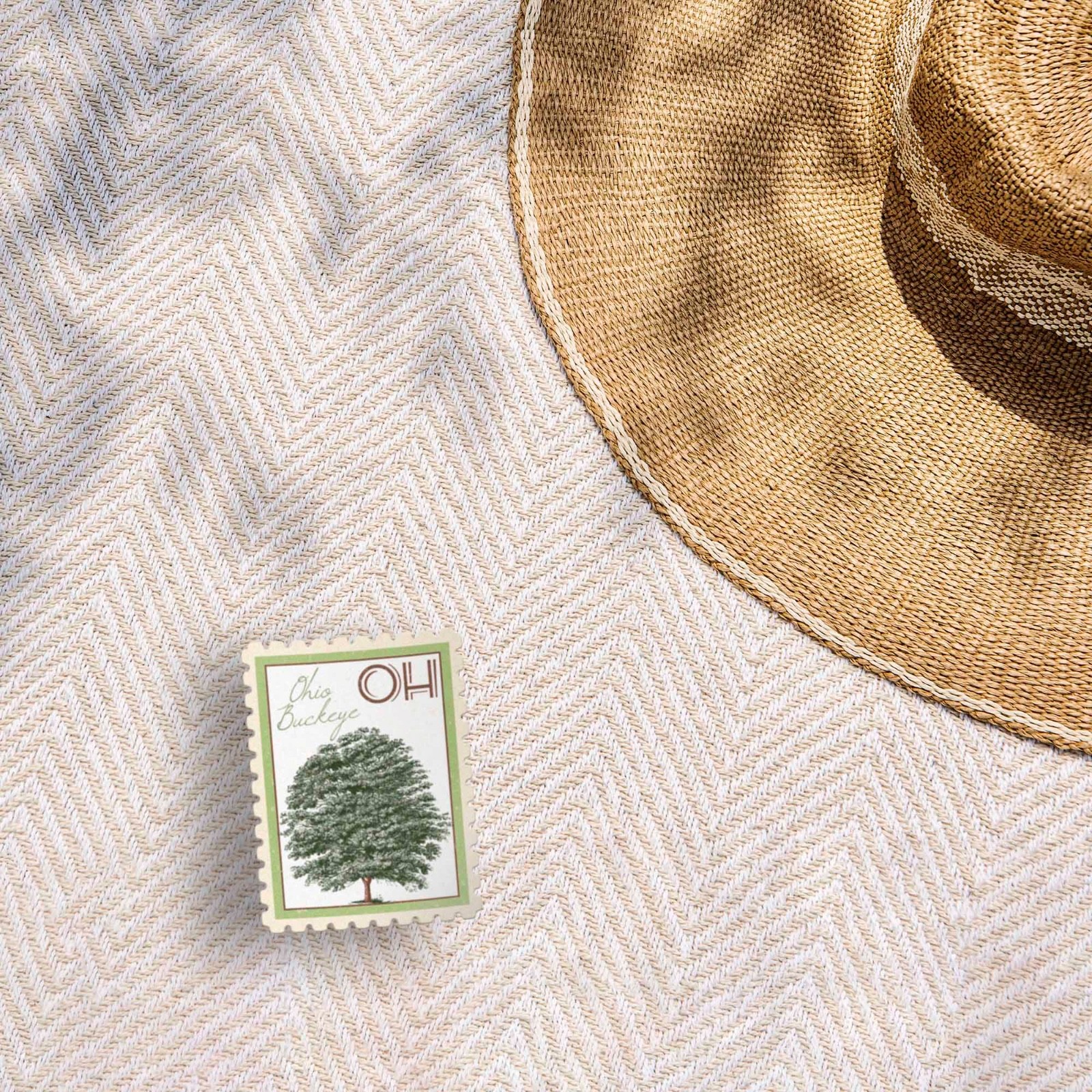Ohio State Tree Buckeye Sticker – OH Vintage Stamp Decal
