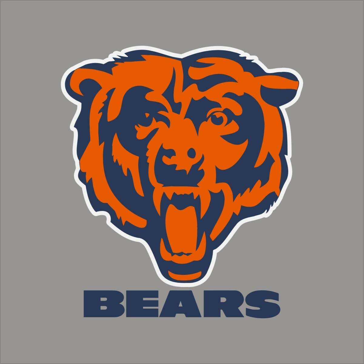 Chicago Bears #7 NFL Team Pro Sports Vinyl Sticker Decal Car Window Wall