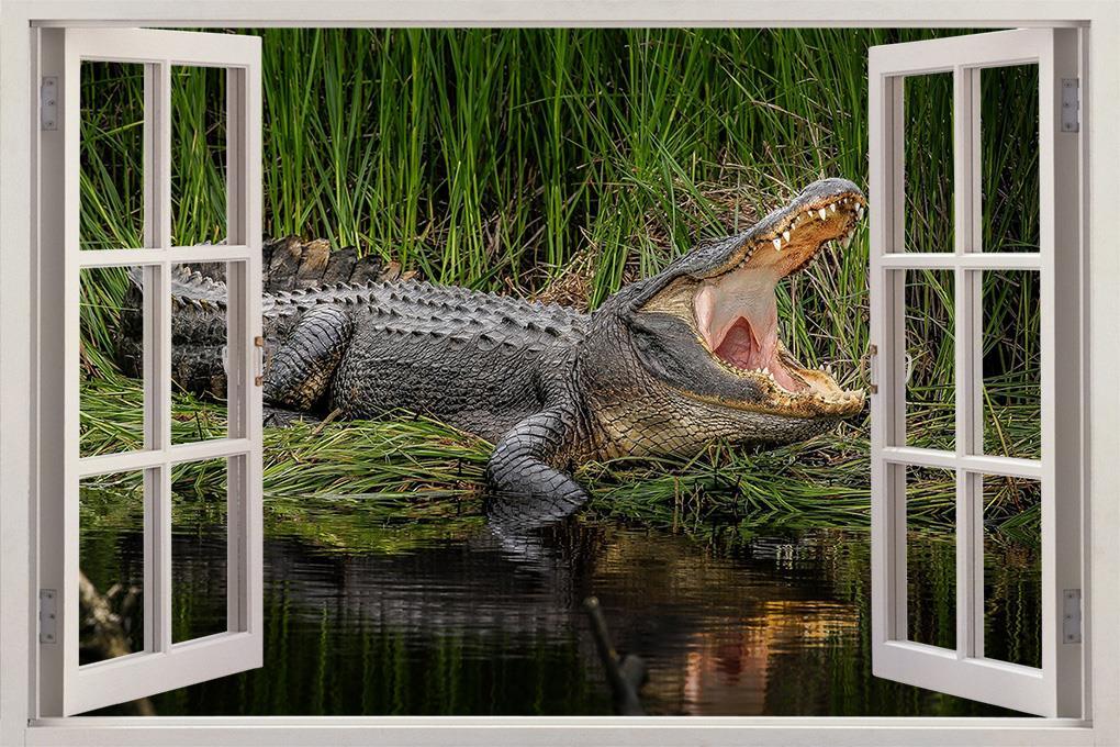 Crocodile Alligator 3D Window Decal Wall Sticker Art Mural Animals Reptiles FS