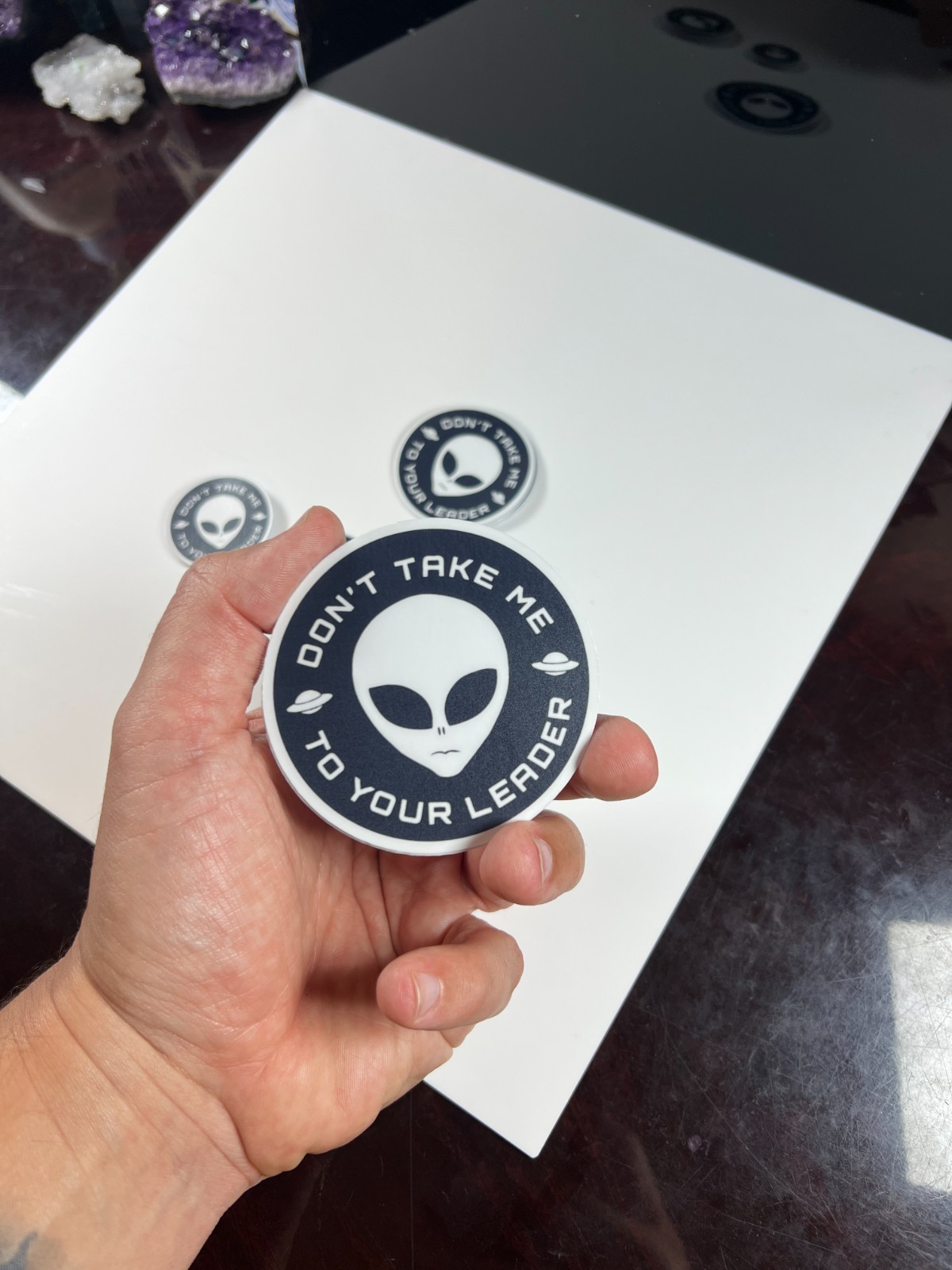 Alien Stickers “Don’t Take Me To Your Leader” Meme Waterproof NEW 1/10/50/100