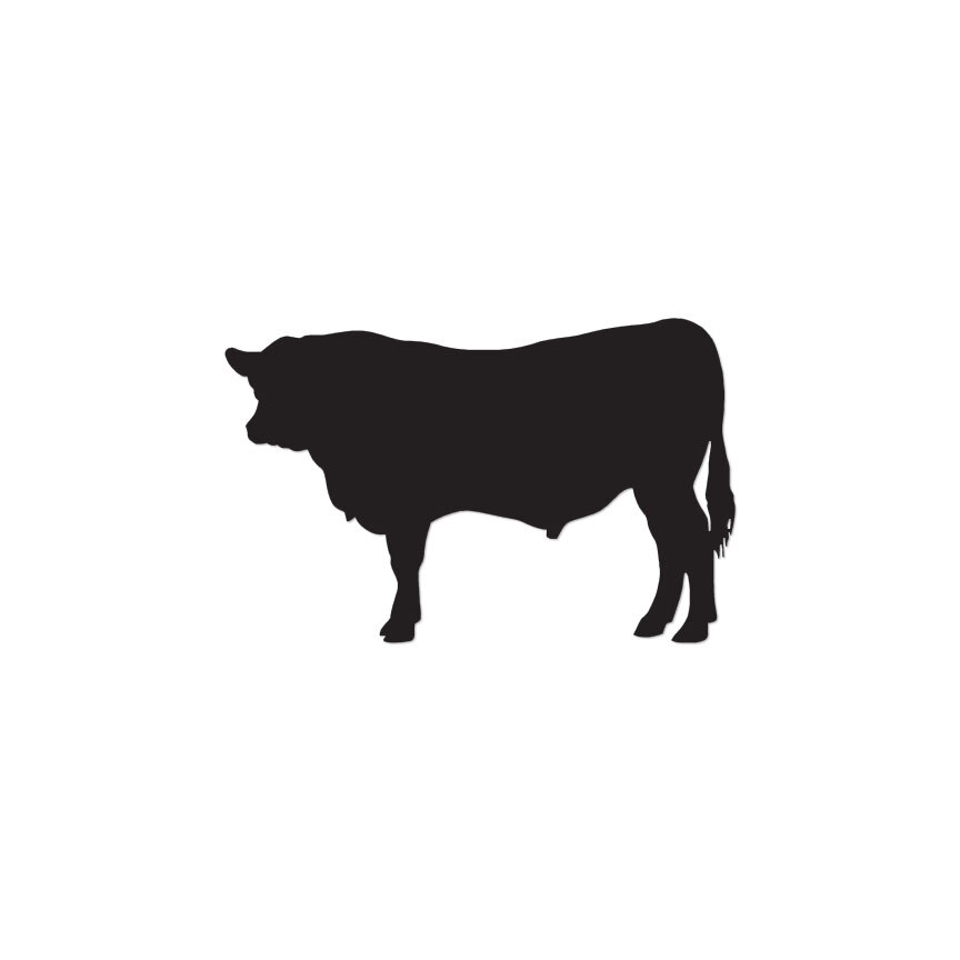 Angus Cow Bull Cattle – Vinyl Decal Sticker – Multiple Color & Sizes – ebn53
