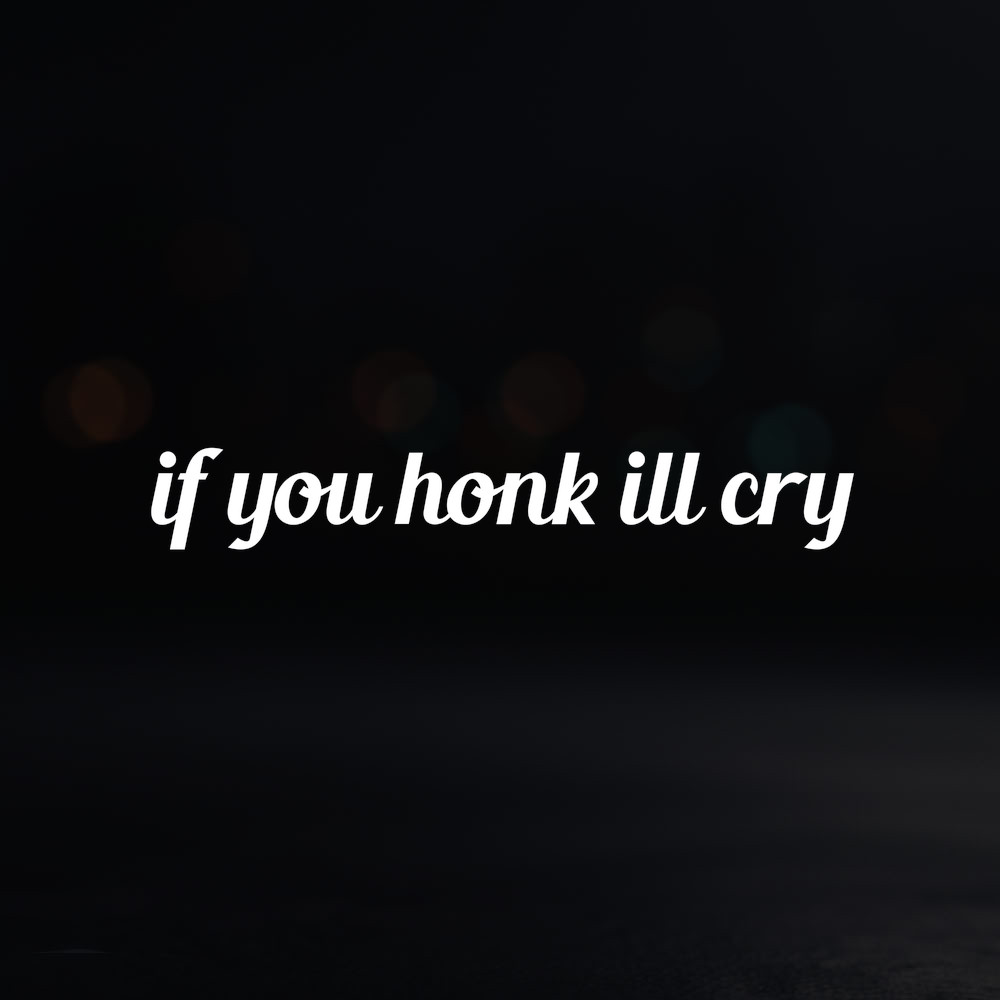 8in Vinyl Decal Sticker – “if you honk ill cry”