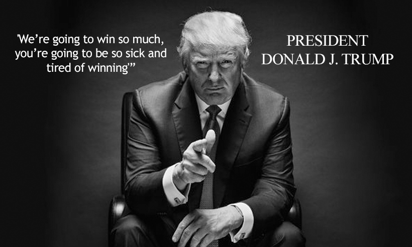 TRUMP BUILD THE WALL ENFORCE THE LAW Donald Trump Vinyl Decal Sticker