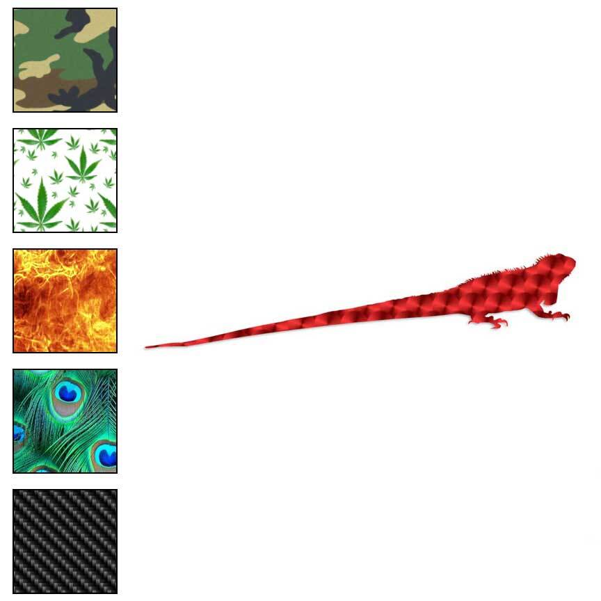 Iguana Lizard Reptile, Vinyl Decal Sticker, 40 Patterns & 3 Sizes, #2855