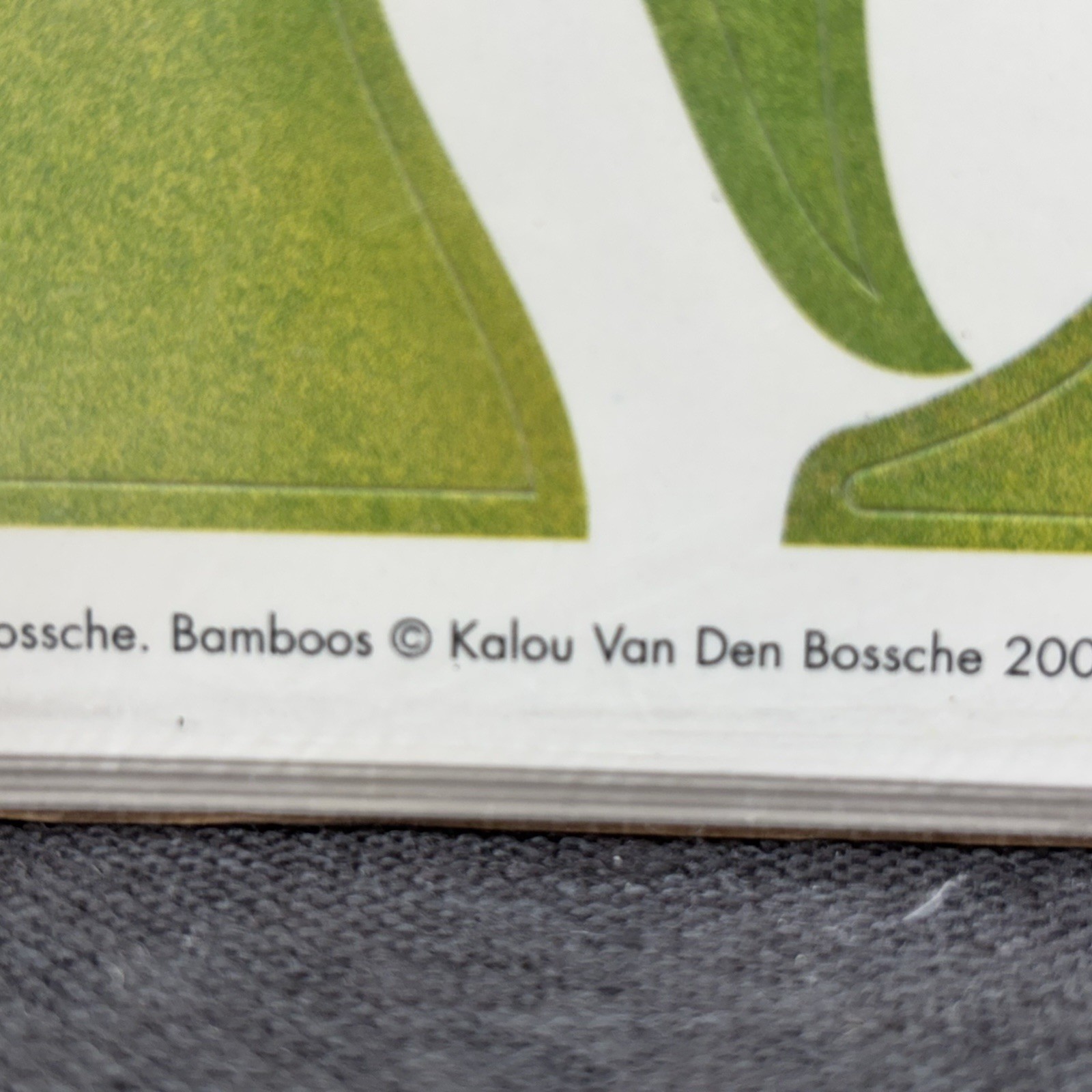 New IKEA Slatthult Bamboo Green Wall Stickers Van Den Bossche 2006 Decal France