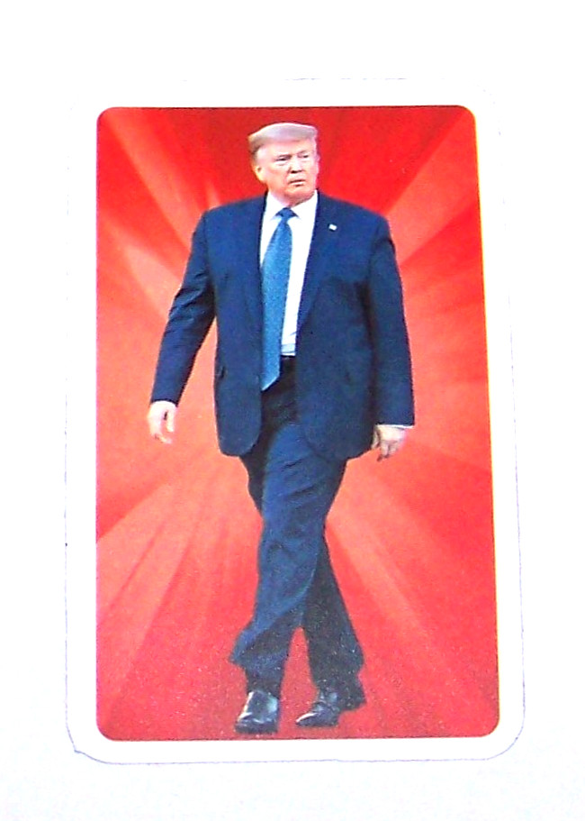 DONALD J. TRUMP Cut Sticker Decal Campaign Politics President Donald Trump