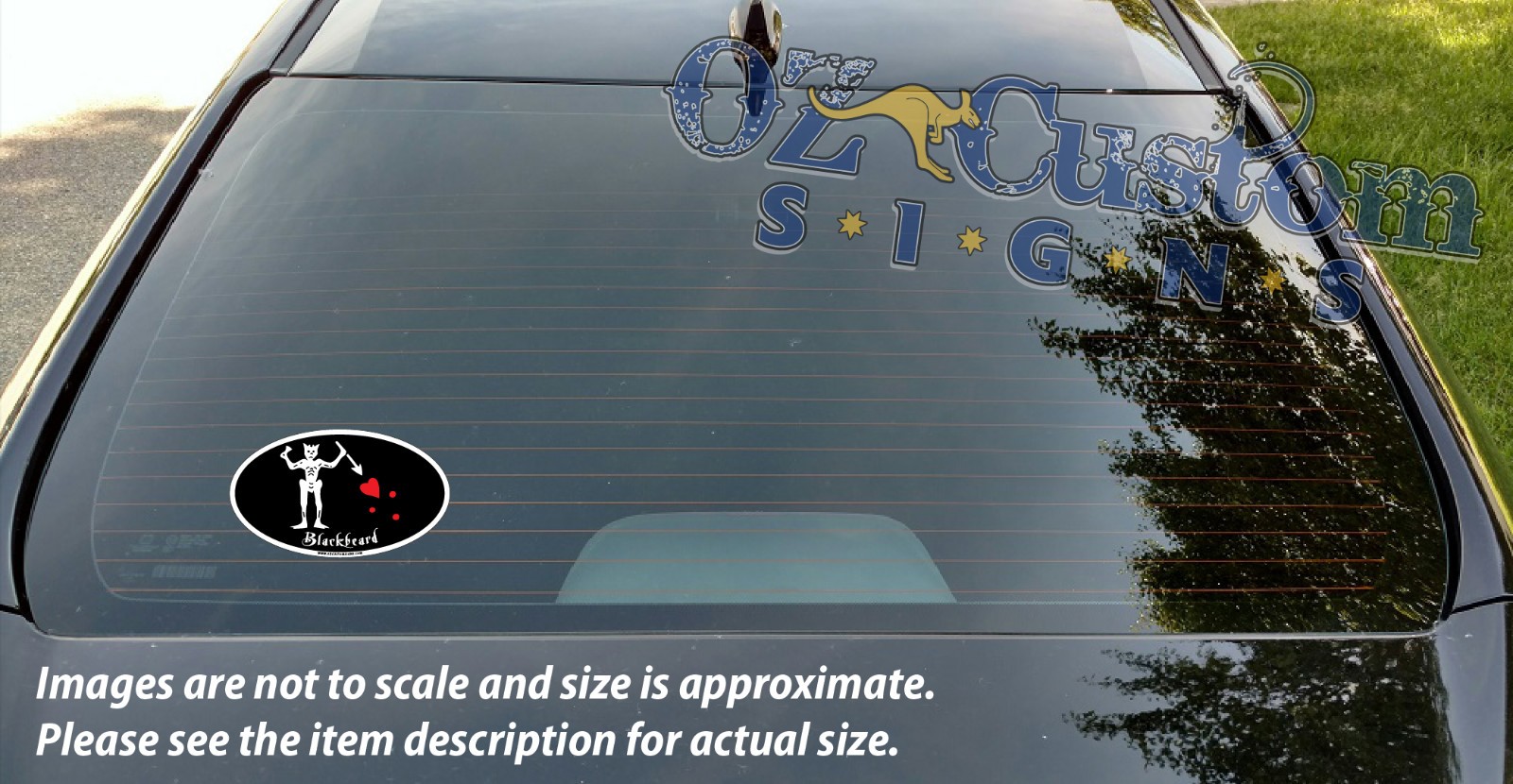 PIRATE – Blackbeard (Edward Teach) – Oval Full Color Decal/Sticker