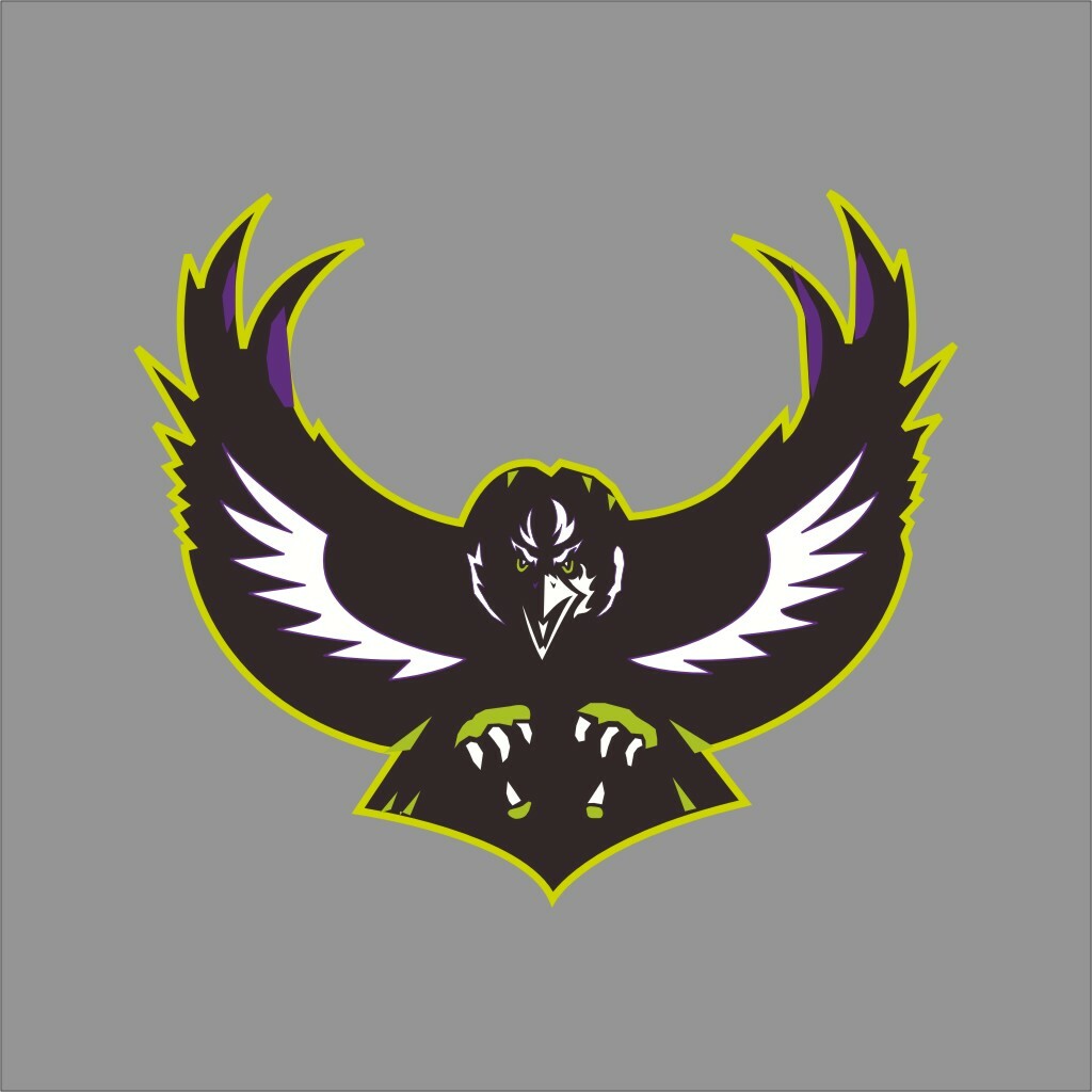 Baltimore Ravens #2 NFL Team Pro Sports Vinyl Sticker Decal Car Window Wall