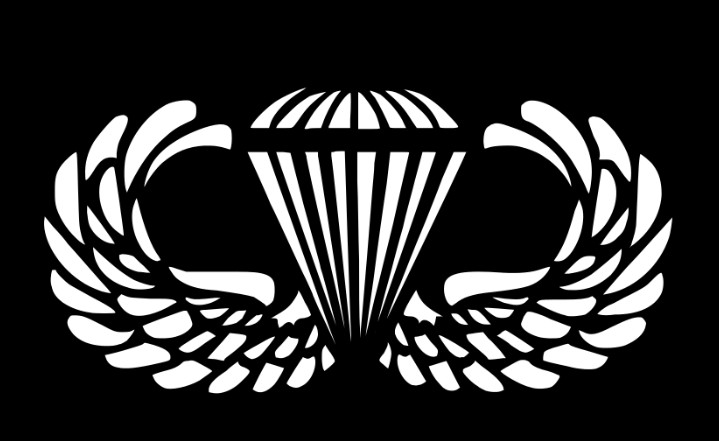 Army Airborne Jump wings Military Vinyl Decal