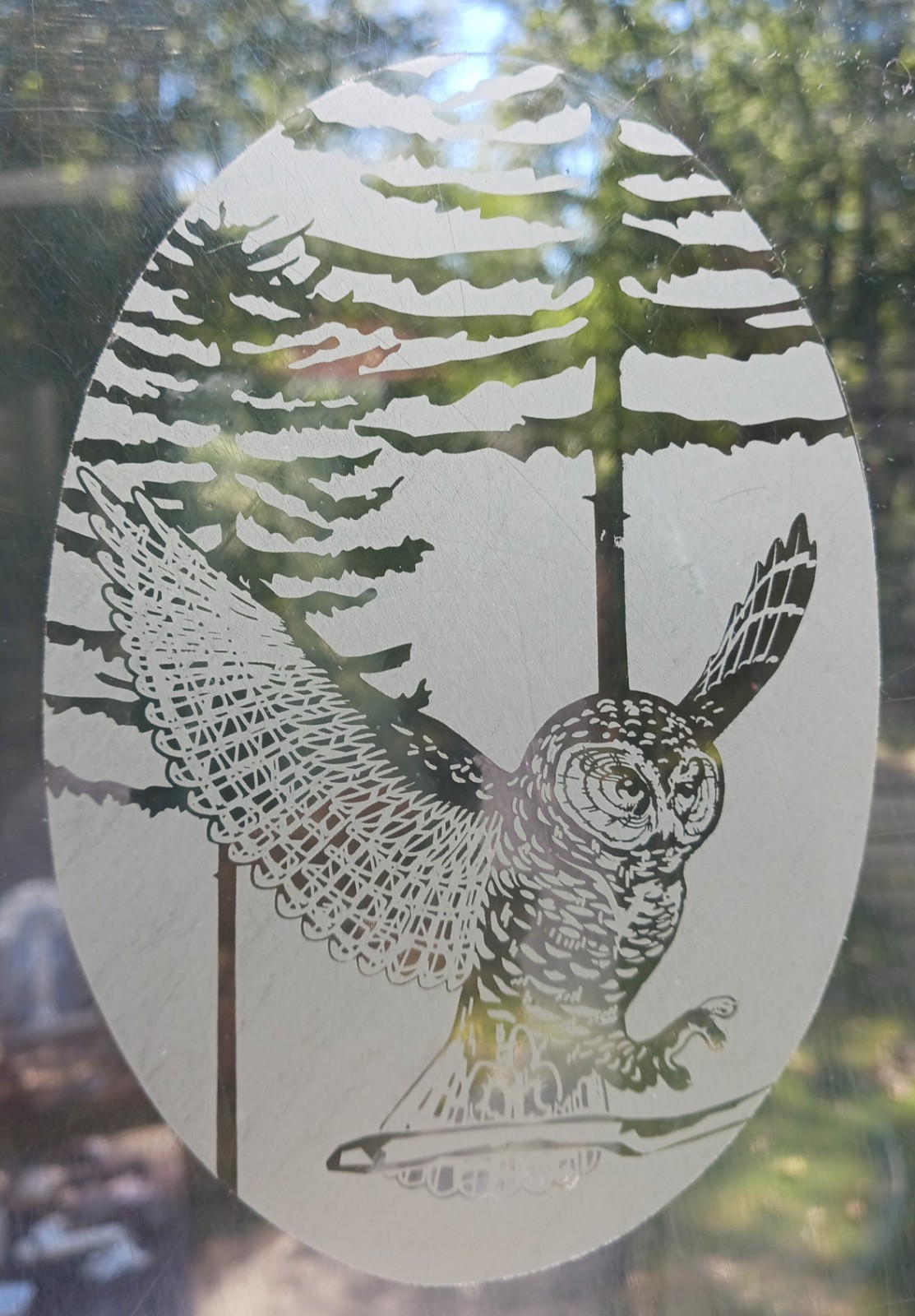 Owl Window Decal 4″x6″ OVAL Etched Glass Look Cling Removable & Reusable 32