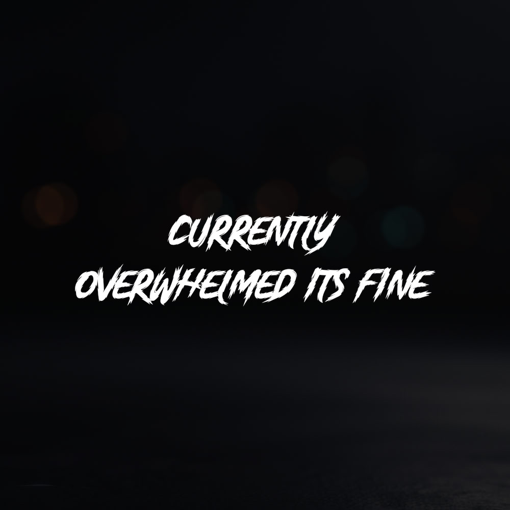 8in Vinyl Decal Sticker – “currently overwhelmed its fine”