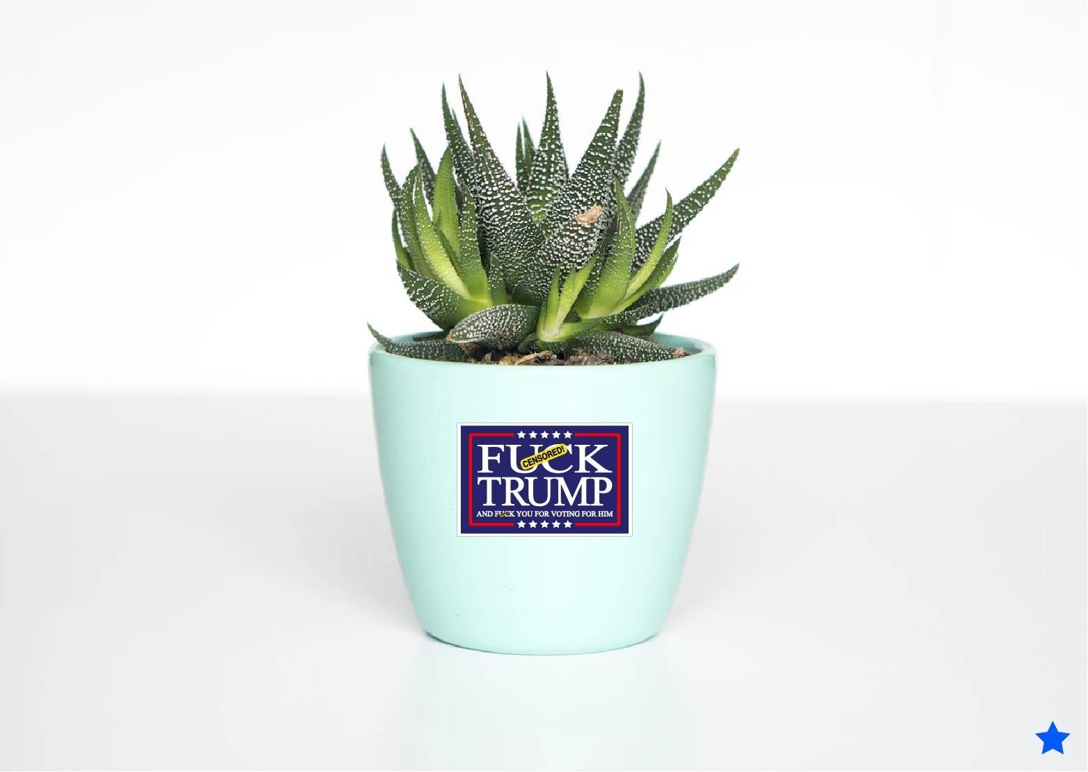 F Trump And You For Voting Decal Sticker Anti MAGA Political Democrat Protest US
