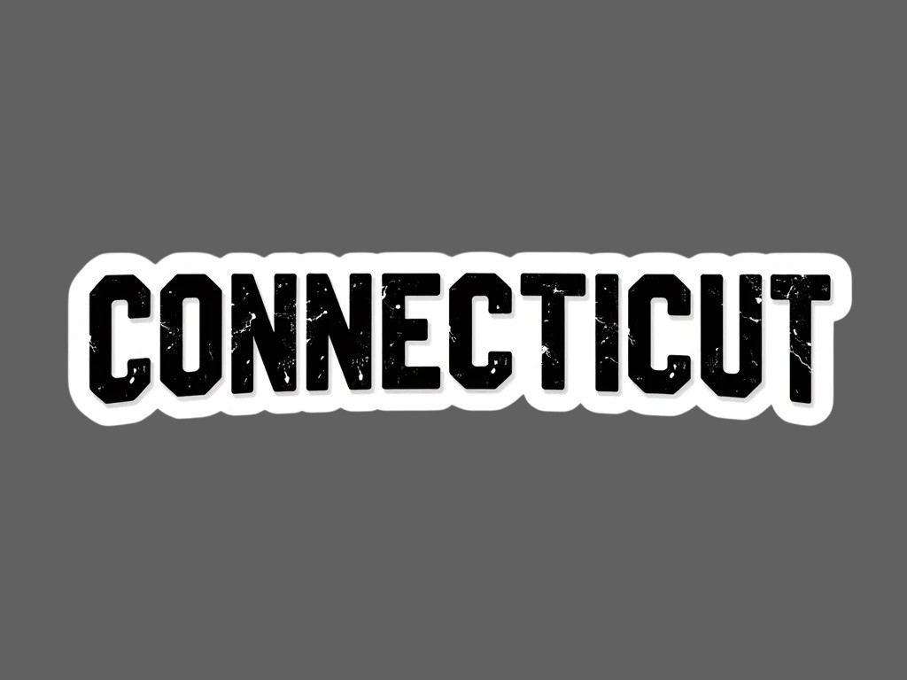 Connecticut Sticker Vinyl Decal State Name Bold Grunge Style Car Laptop