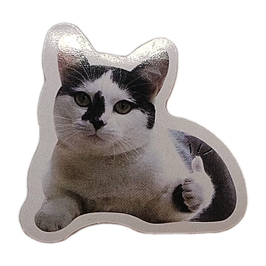 Funny Cat Face Thumbs Up Sticker Decal Laptop Phone Fashion 1.5″ Tall
