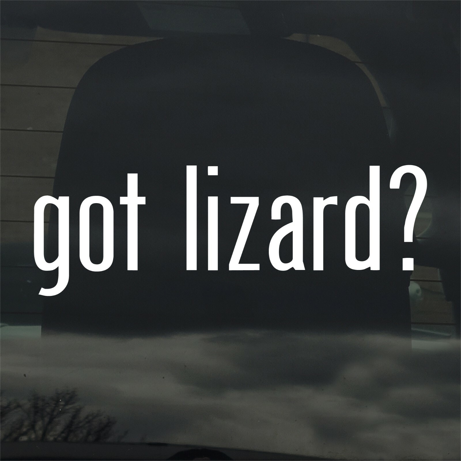 Got Lizard? Custom Vinyl Sticker / Decal Reptile, Exotic Pets, Iguana