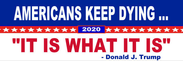 “IT IS WHAT IT IS” DUMP TRUMP (8″ x 3″) VINYL BUMPER STICKER – POLITICAL BIDEN