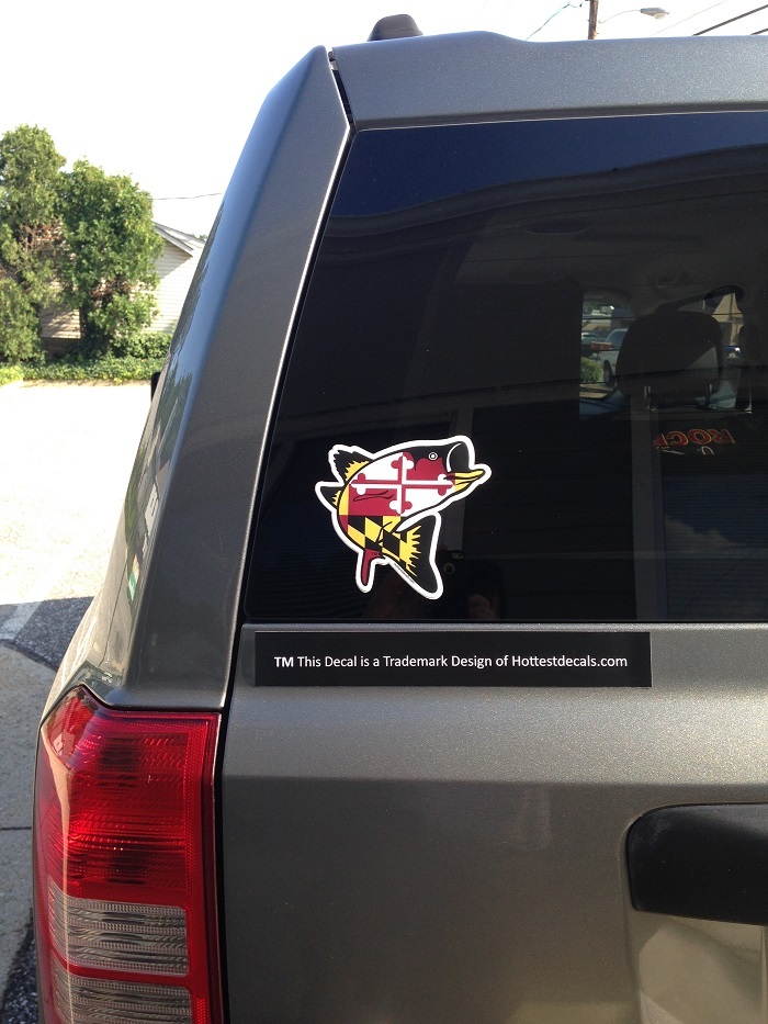 MARYLAND FISH CAR DECAL STICKER Truck Window Boat Trailer Fishing Tackle