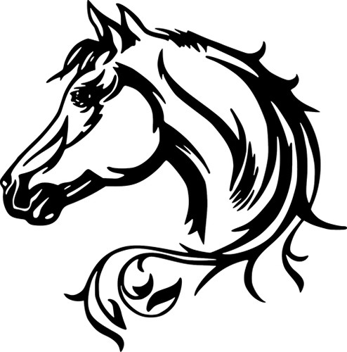 Horse Head Horses Beauty Art Decor Wall Car Truck Window Vinyl Sticker Decal