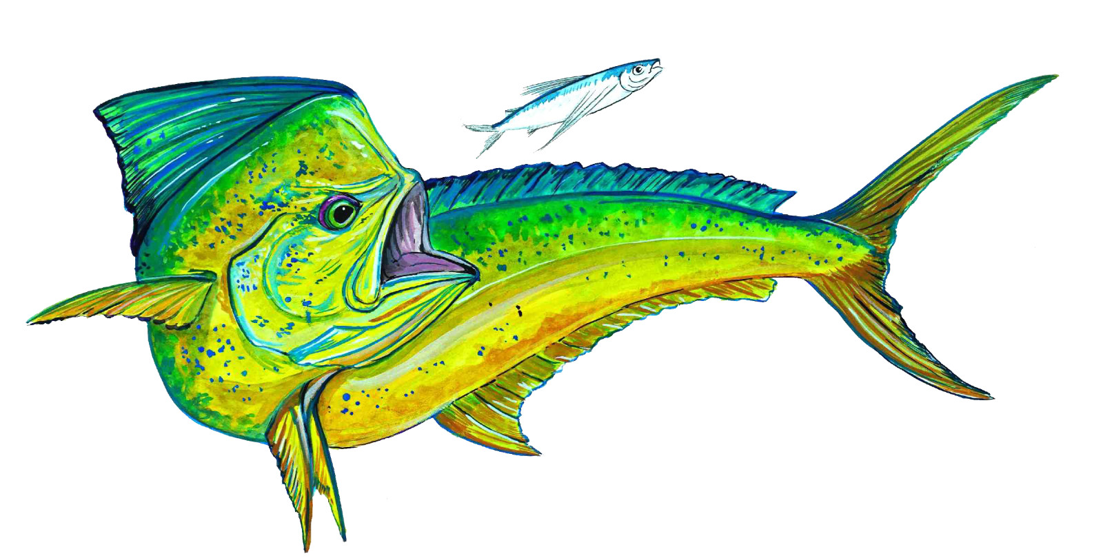 Dolphin Big Game Fish Mahi Dorado Vinyl Car/Truck Window Decal/Sticker