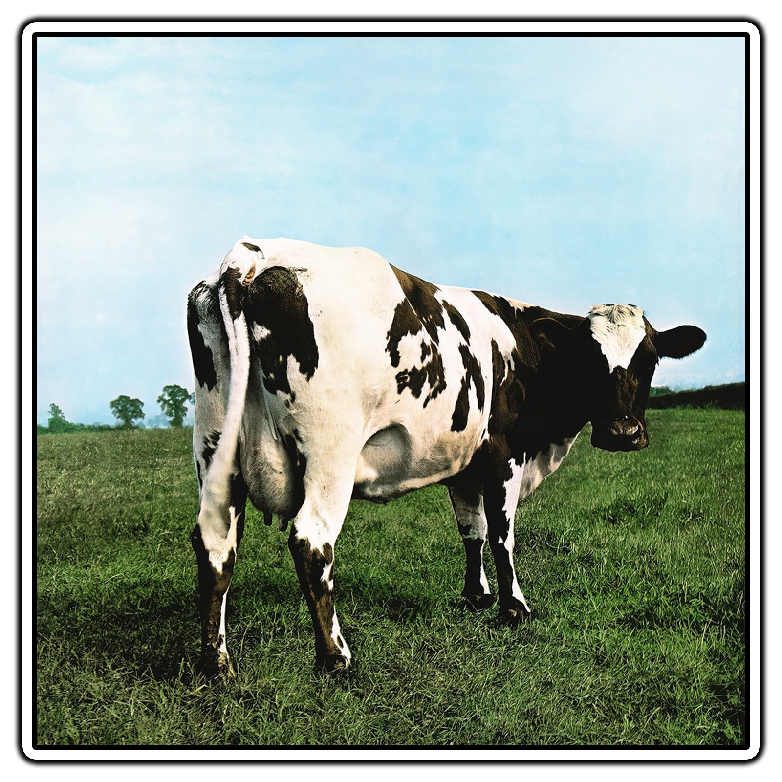 Pink Floyd – Atom Heart Mother Album Cover Sticker Waterproof Vinyl Decal DieCut