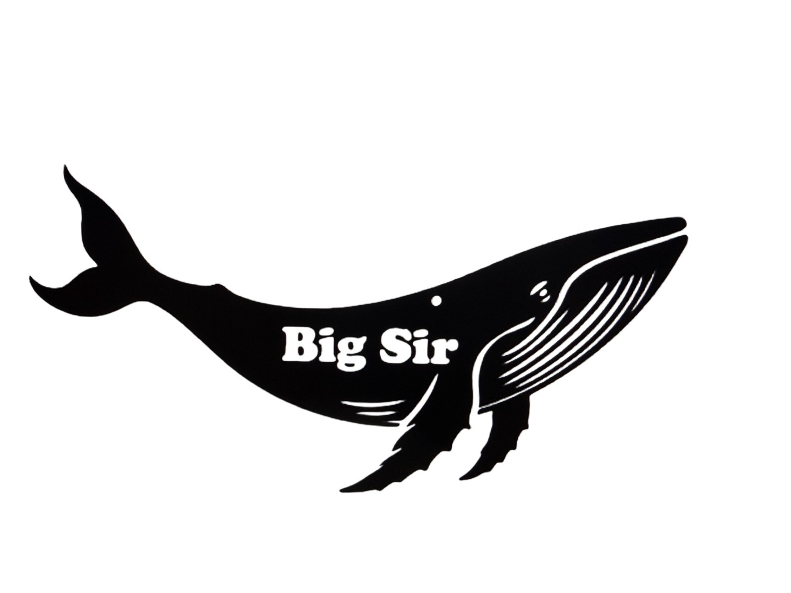 Humpback Whale Big Sir Decal for car Windows Laptops most Smooth Surfaces