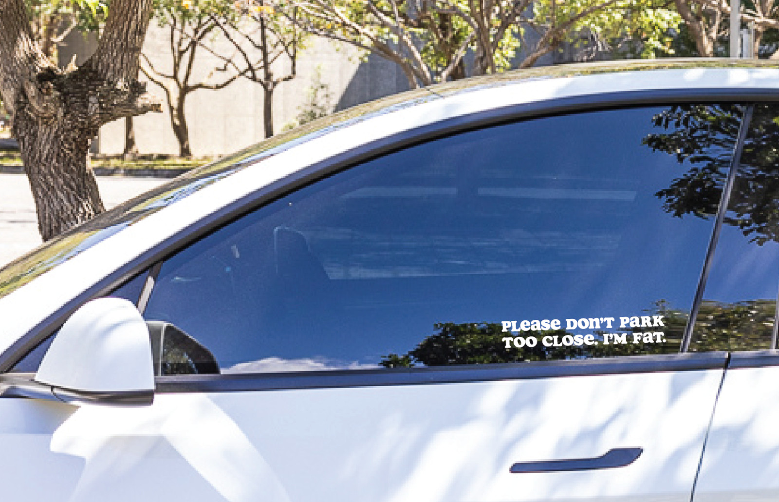 Tesla Owner I Please Don’t Park Too Close. I’m Fat. Bumper Sticker Decal 6″x1″