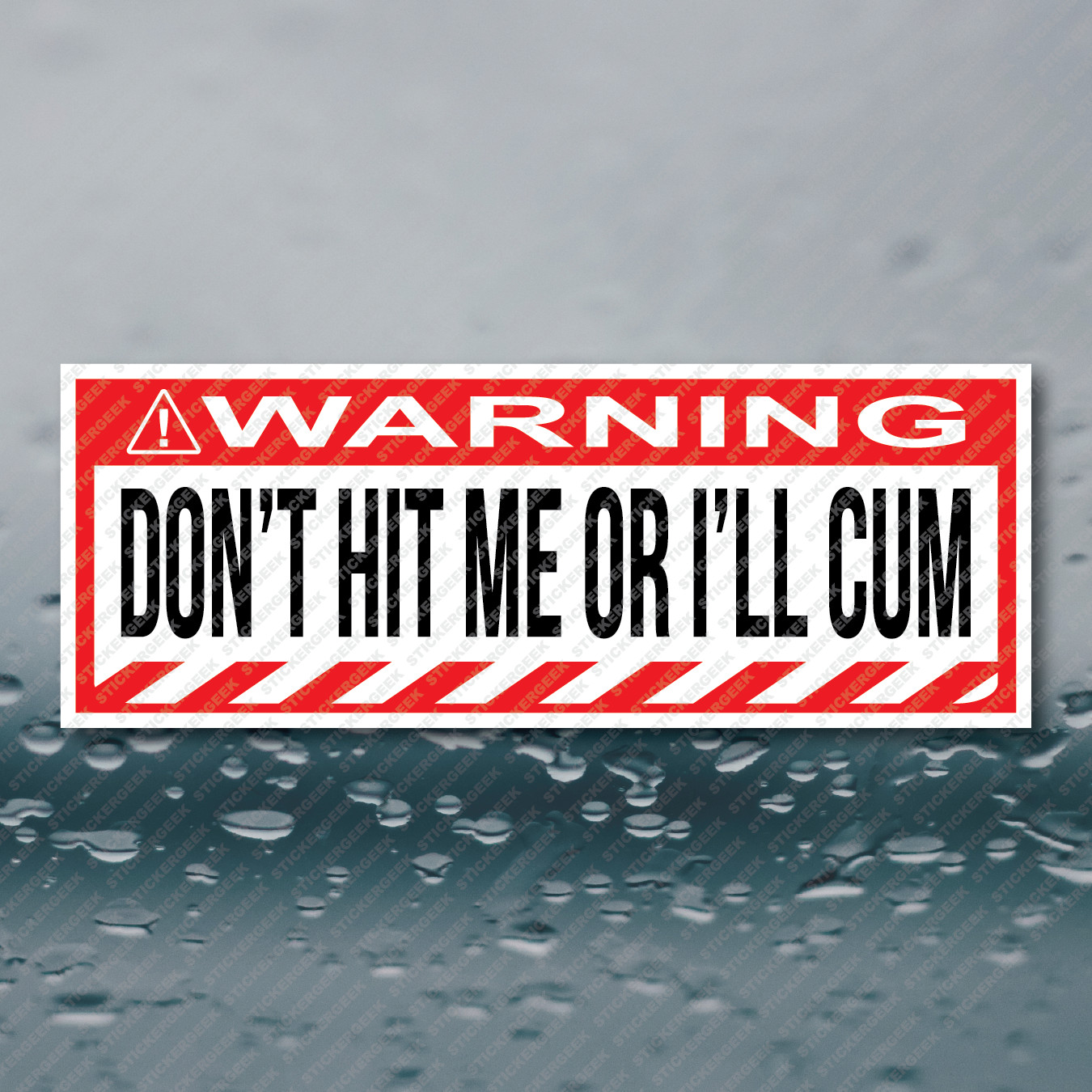 WARNING DON’T HIT ME OR I’LL CUM Funny Gag Joke Prank Bumper Sticker