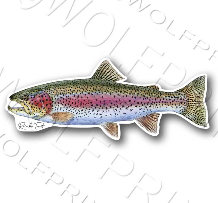 Tiger Trout Fish Sticker Walleye Bass Boat Car Window Decal