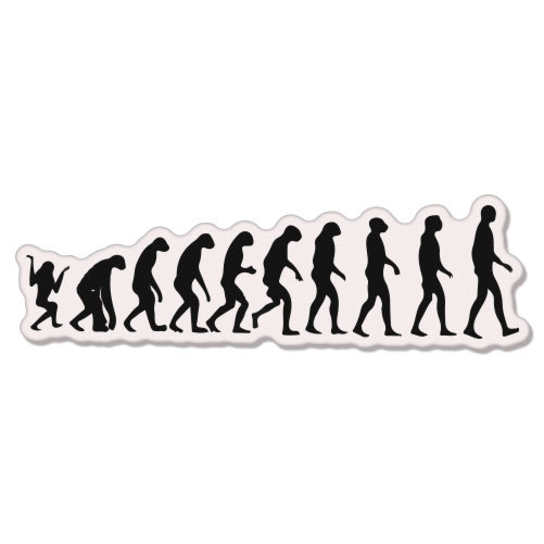 Evolution Darwin Monkey Apes car bumper sticker decal 8″ x 3″
