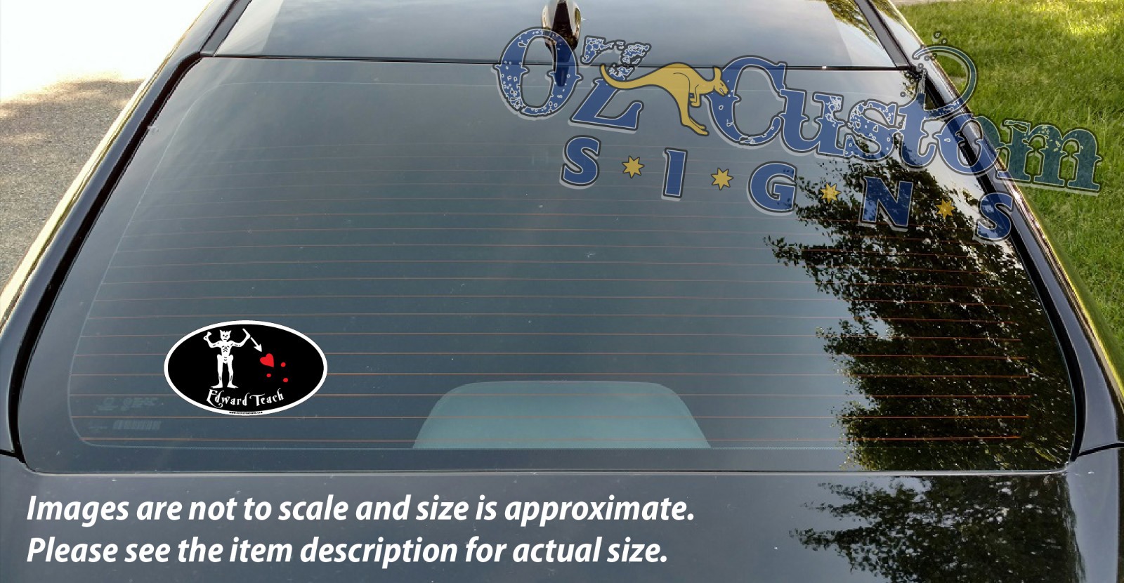 PIRATE – Edward Teach (Blackbeard) – Oval Full Color Decal/Sticker