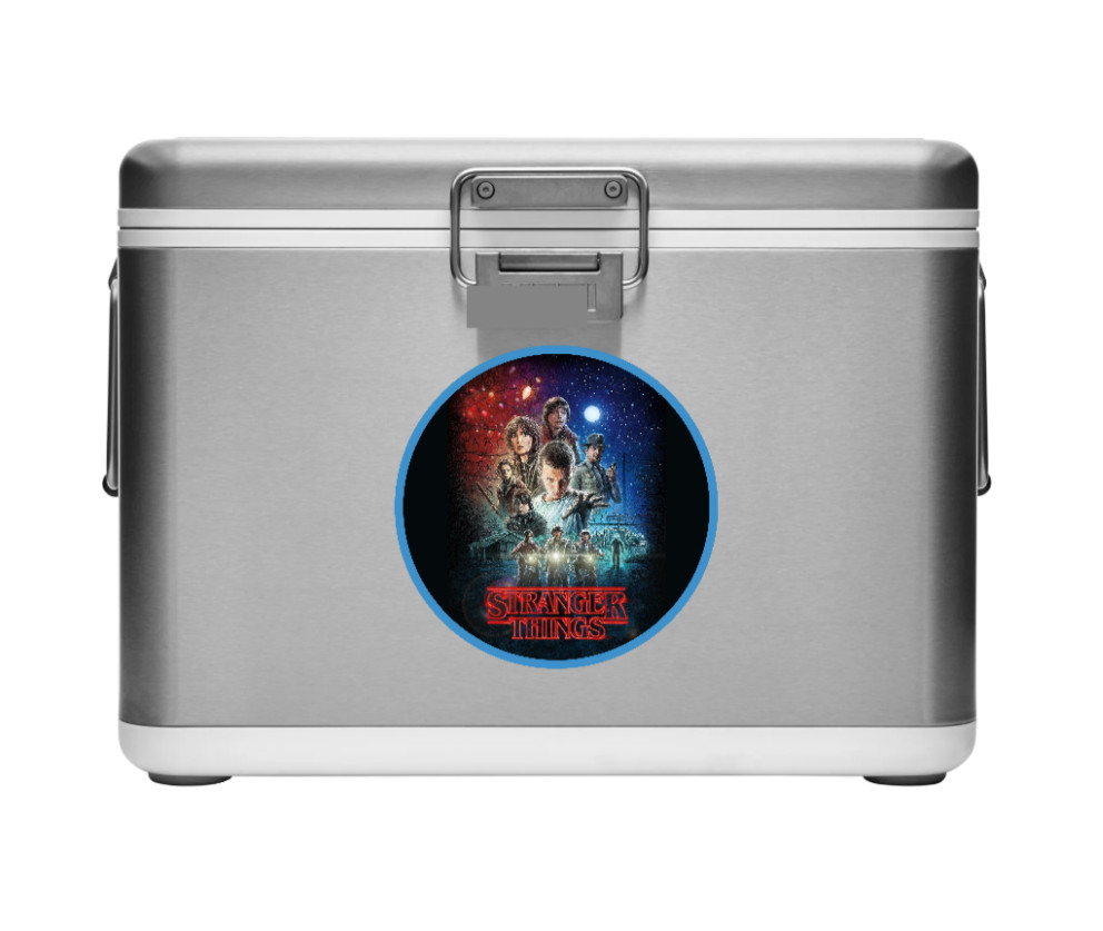Stranger Things – 4″ Handmade Decal Sticker Vehiclle Cooler Tumbler Laptop 265